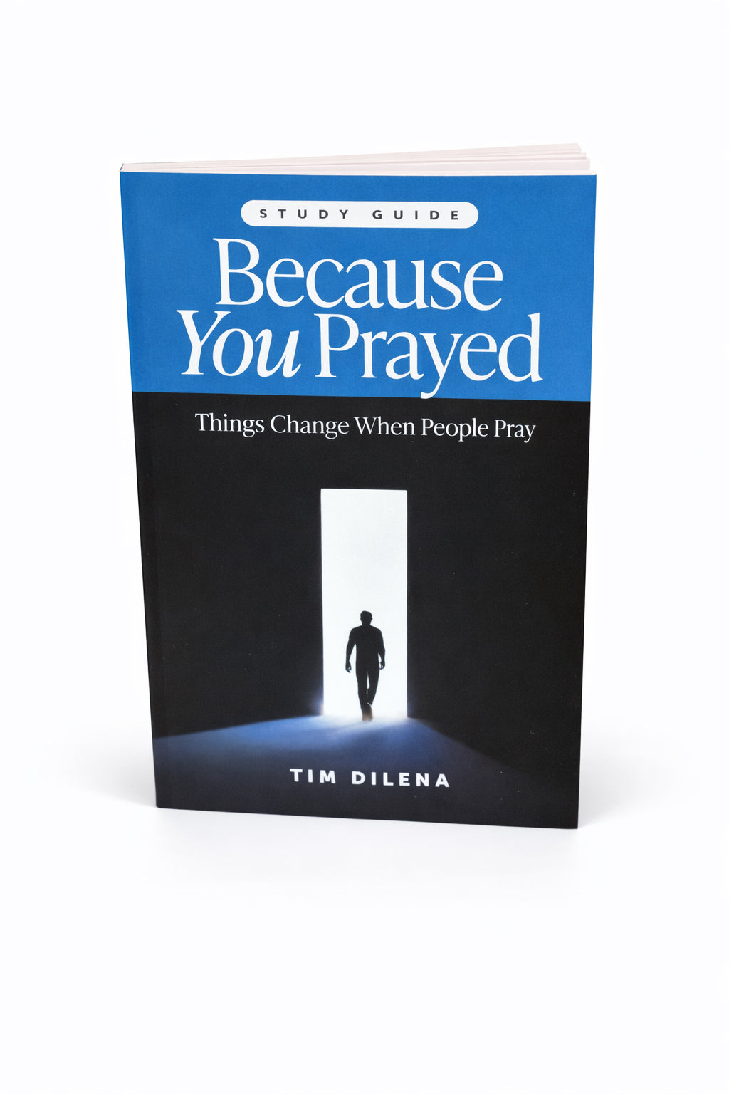 Because You Prayed Study Guide